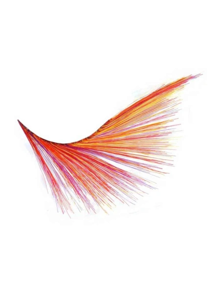 colourful strip lash