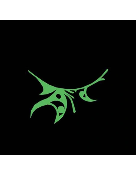 Illuminous strip lash