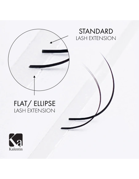 Flat D+ Eyelash Extensions in Paper Packaging | Kalentin Sustainable Lash Brand