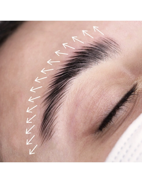 Brow lamination kit| Kalentin Sustainable Lash Brand