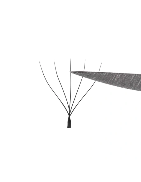 W Lashes High-Tech Fibers English 5leaf C Ø0,07 - MIX