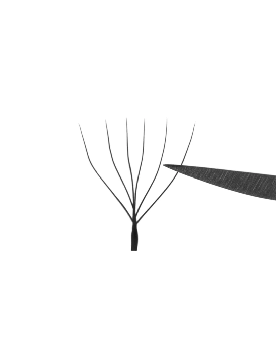 W Lashes High-Tech Fibers Italian 6leaf C Ø0,07 - MIX