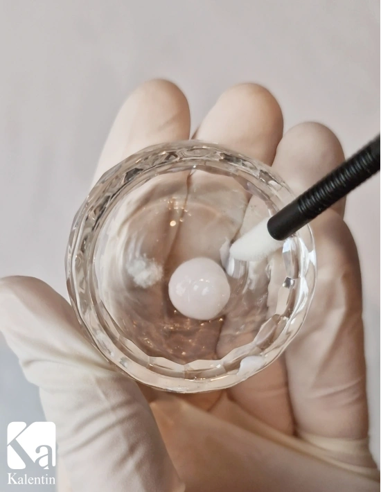 Eyebrows Powder | Kalentin sustainable cosmetic brand